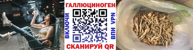 сколько стоит  МЕГА tor  Псилоцибиновые грибы ЛСД  Малаховка 