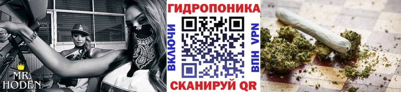 Шишки марихуана тримм где найти наркотики Малаховка